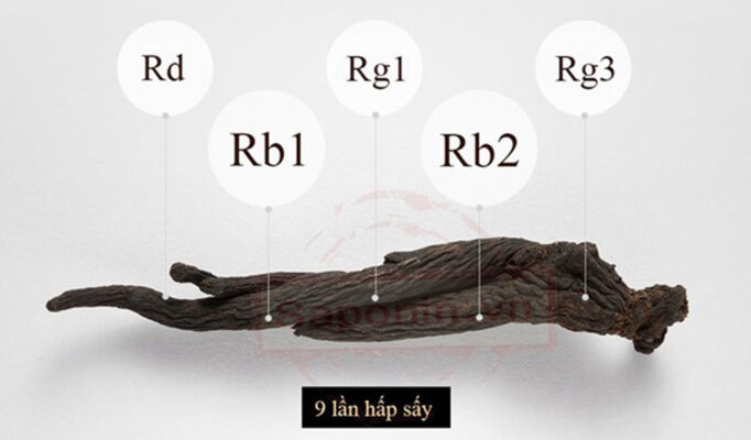 Công dụng của Hắc sâm: Bồi Bổ Sức Khỏe, Phòng Ngừa Ung Thư