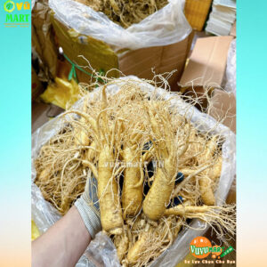 Sâm Tươi Hàn Quốc 3 Củ 1 Kg – Xách Tay ( Make Korea ) 10