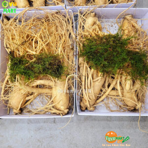 Sâm Tươi Hàn Quốc 3 Củ 1 Kg - Xách Tay ( Make Korea )