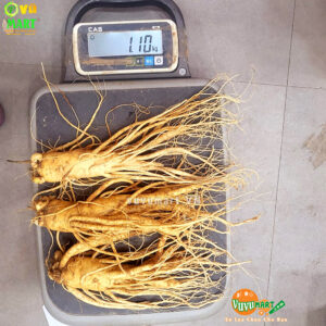 Sâm Tươi Hàn Quốc 3 Củ 1 Kg - Xách Tay ( Make Korea ) 17