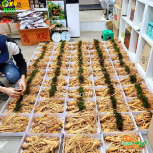 Sâm Tươi Hàn Quốc 3 Củ 1 Kg - Xách Tay ( Make Korea ) 22