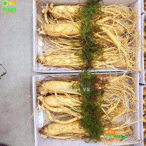 Sâm Tươi Hàn Quốc 3 Củ 1 Kg - Xách Tay ( Make Korea ) 26